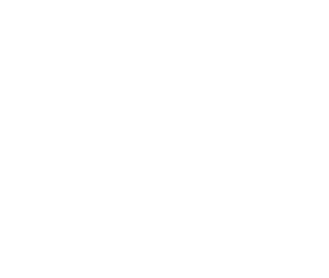 agency collective logo